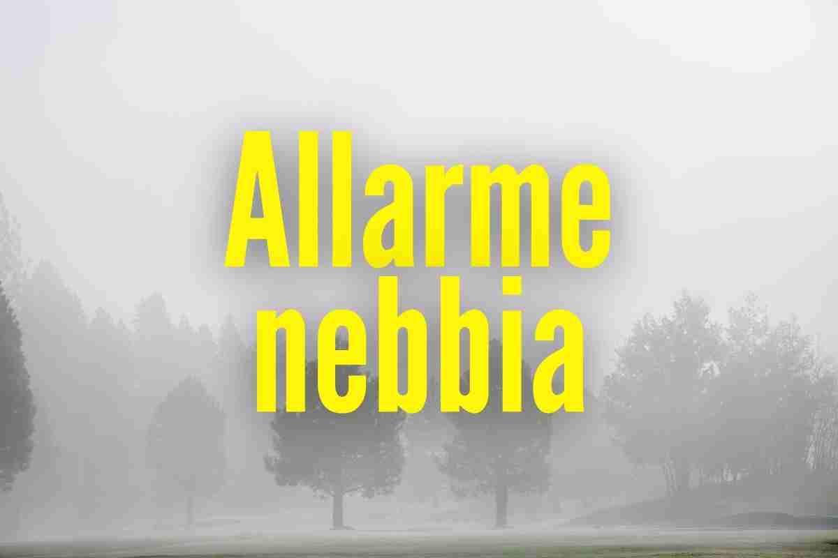 Nebbia