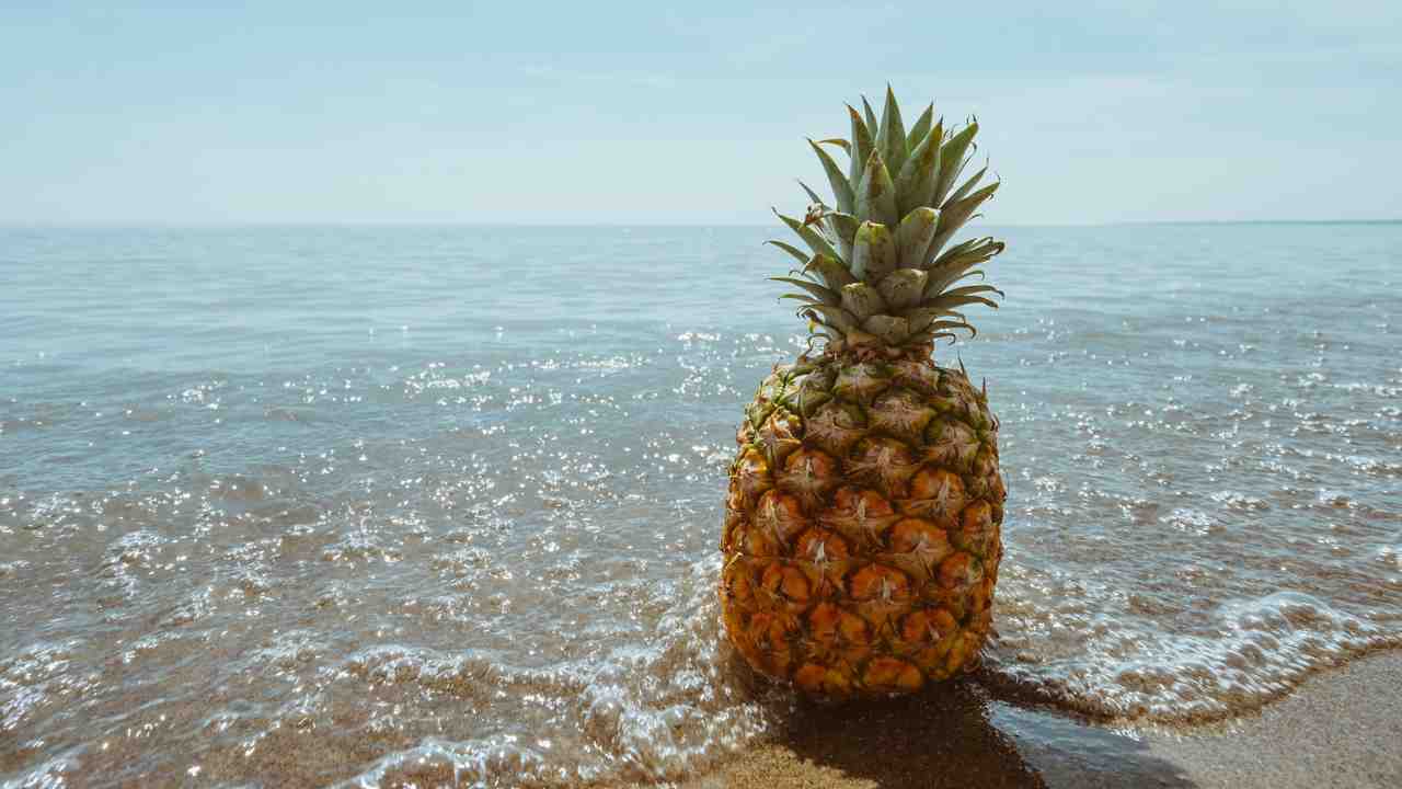 ananas storia divertente