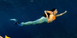 sirena corso