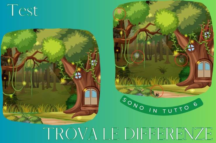 Trova le differenze, soluzioni
