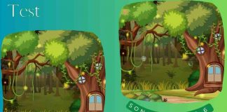 Test trova le differenze