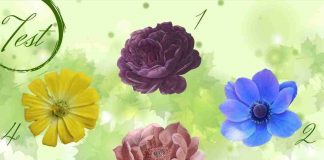 Test fiore