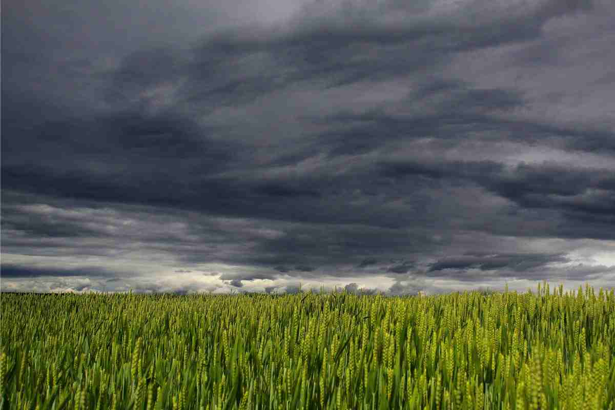 Meteo Pasquetta