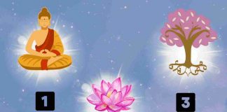 Test personalità buddha fiore di loto albero vita