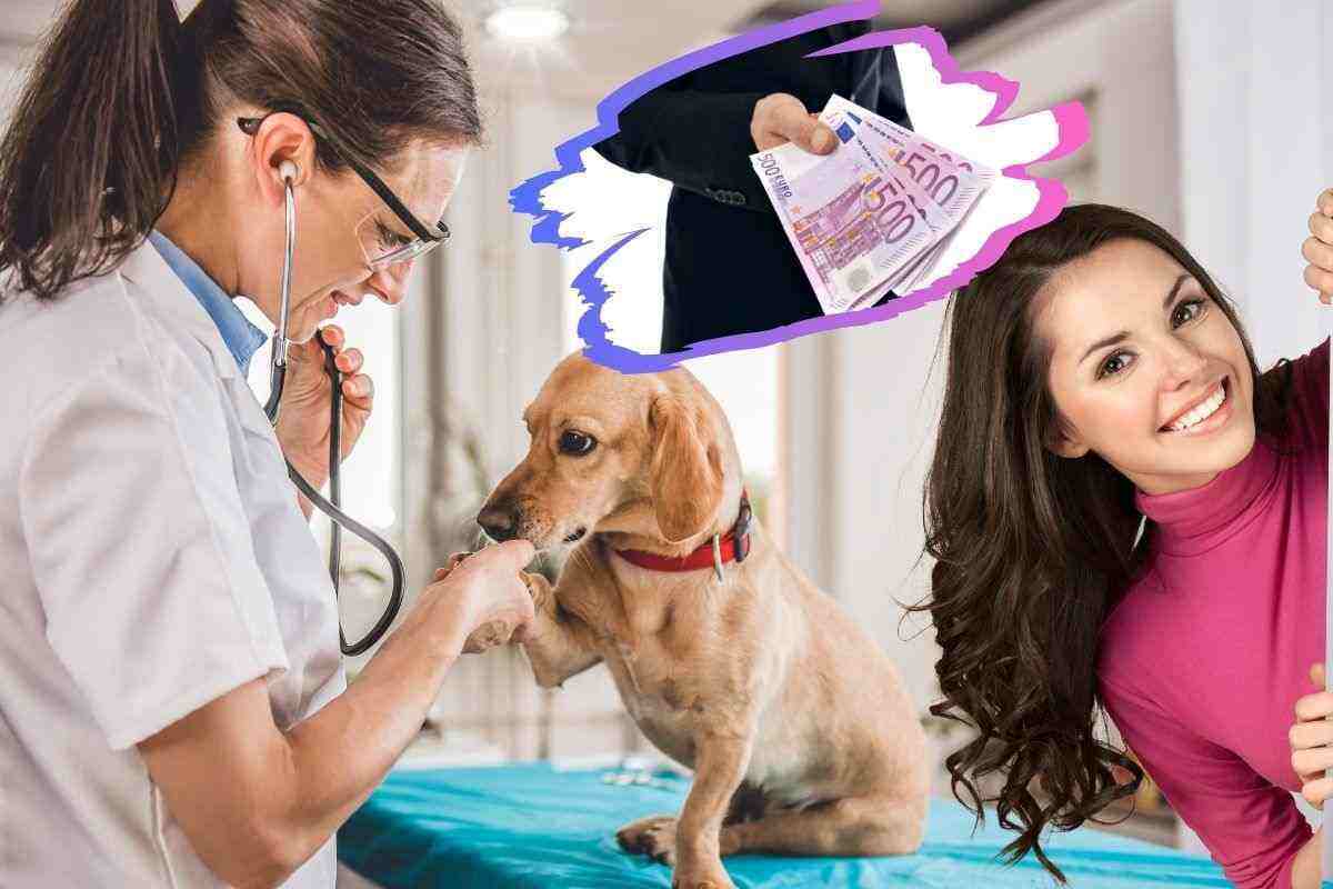 Spese veterinarie rimborso 