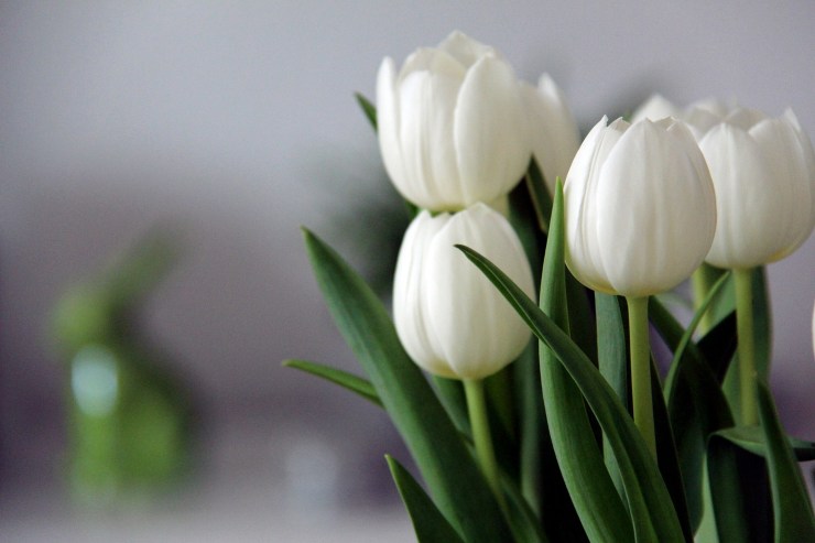 mazzo di fiori trucco per conservarli