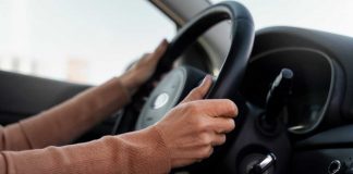 Automobilista ubriaco tenta di far guidare il suo cane