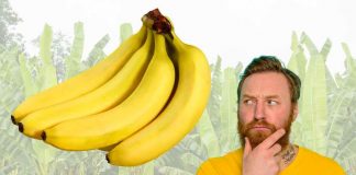 mangiare banane fa bene oppure no