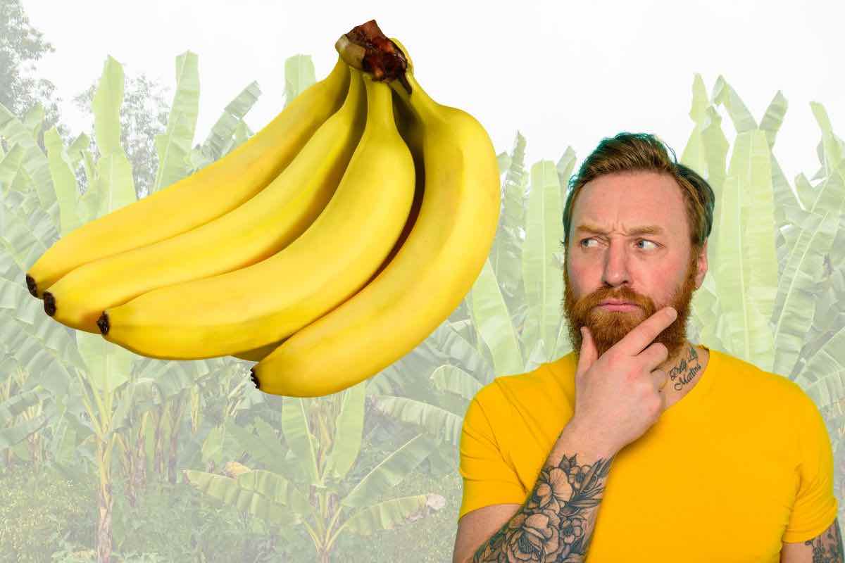 mangiare banane fa bene oppure no