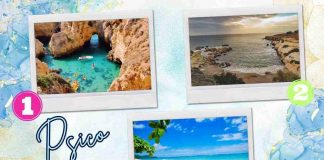 test vacanze