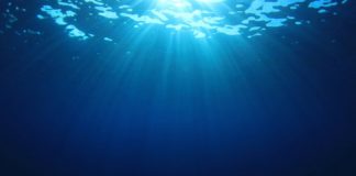 Mare che uccide gli esseri viventi sul colpo