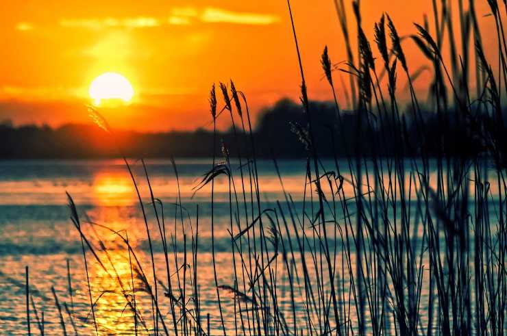 Scopriamo la Spiaggia naturale ed incontaminata di Lecciona in Toscana