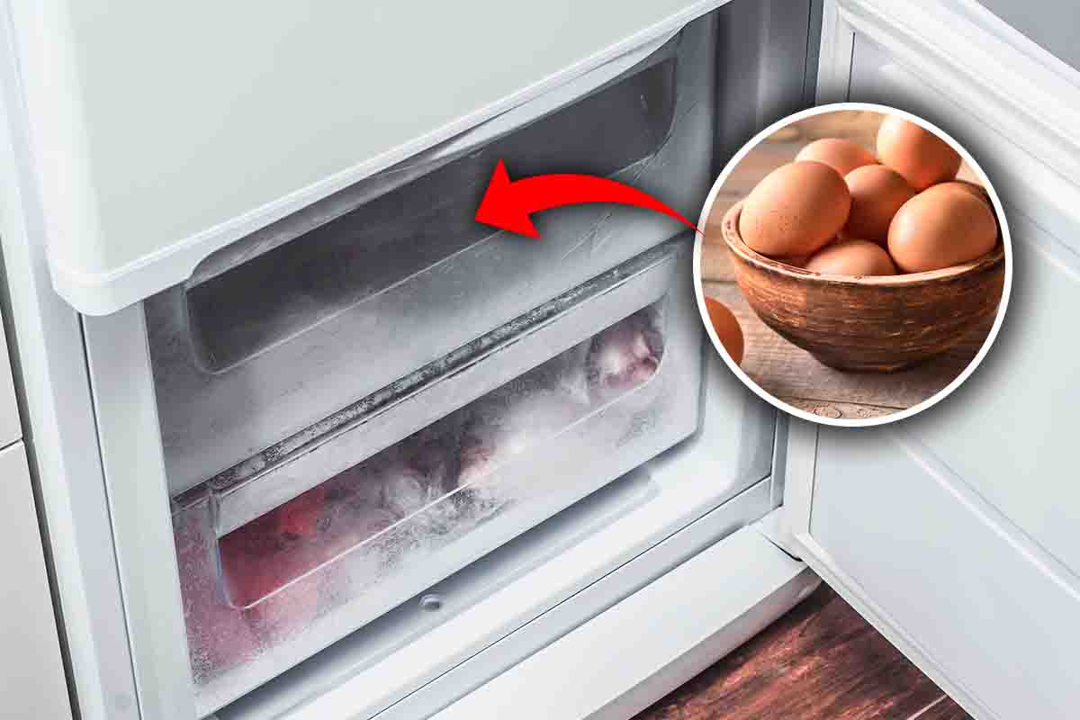 Come congelare uova crude