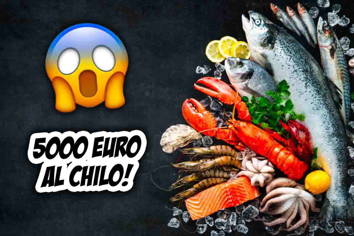 Esiste un pesce che costa ben 5.000 euro in Italia