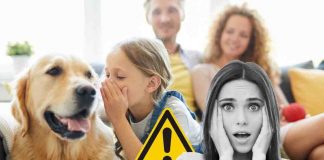 animali possono infettare i bambini