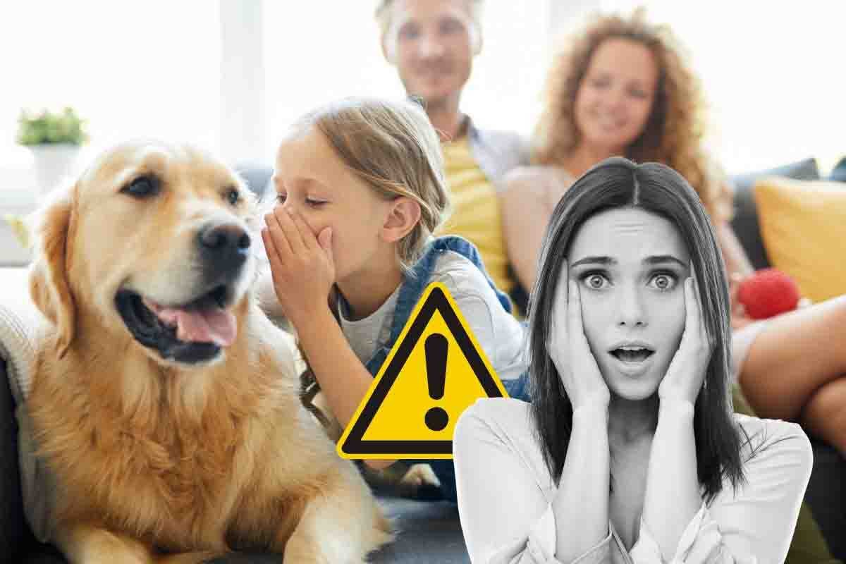 animali domestici possono infettare i bambini