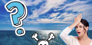 meduse morte a Francavilla a Mare