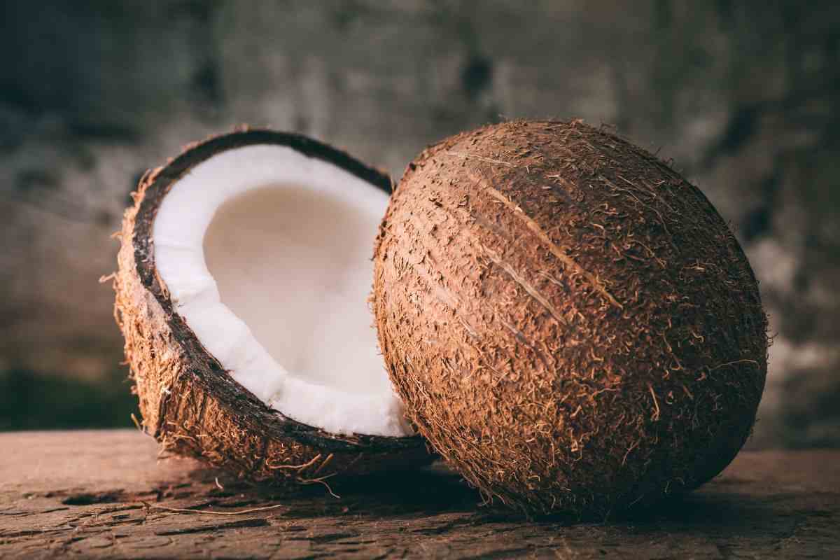 Proprietà della noce di cocco