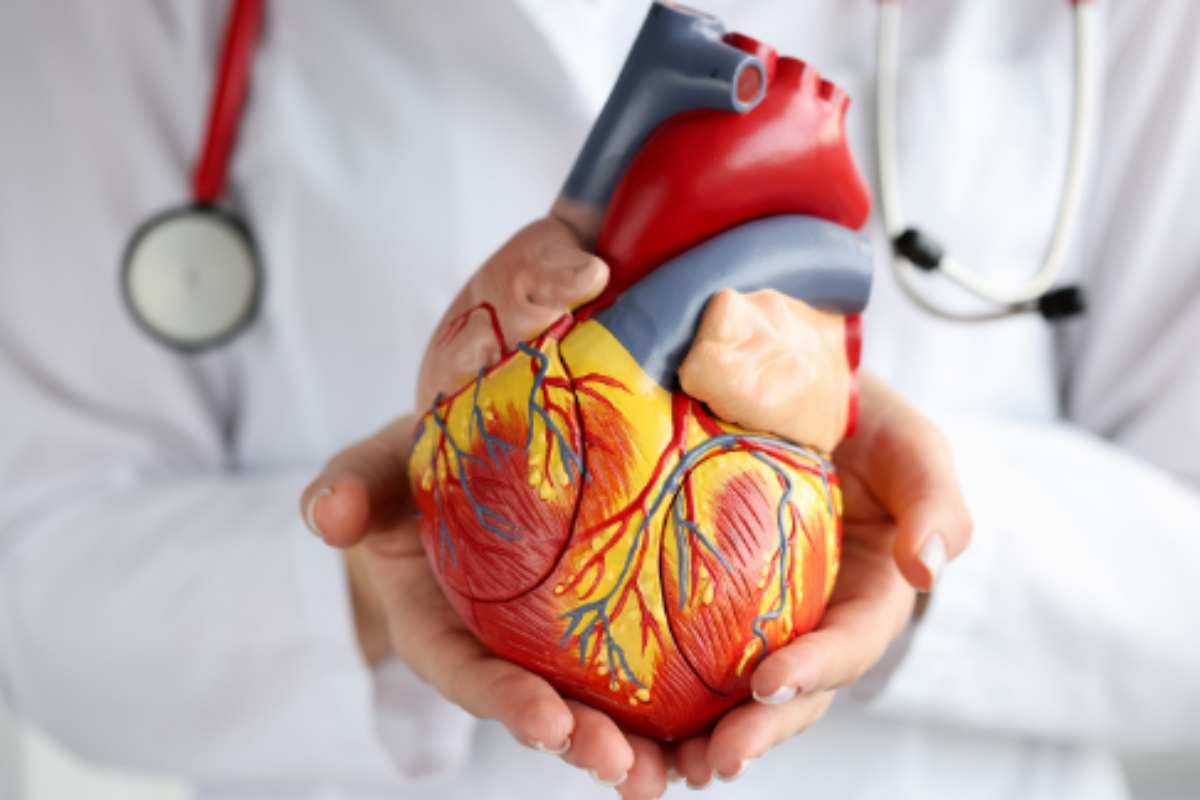 Come prevenire il rischio di malattie cardiovascolari