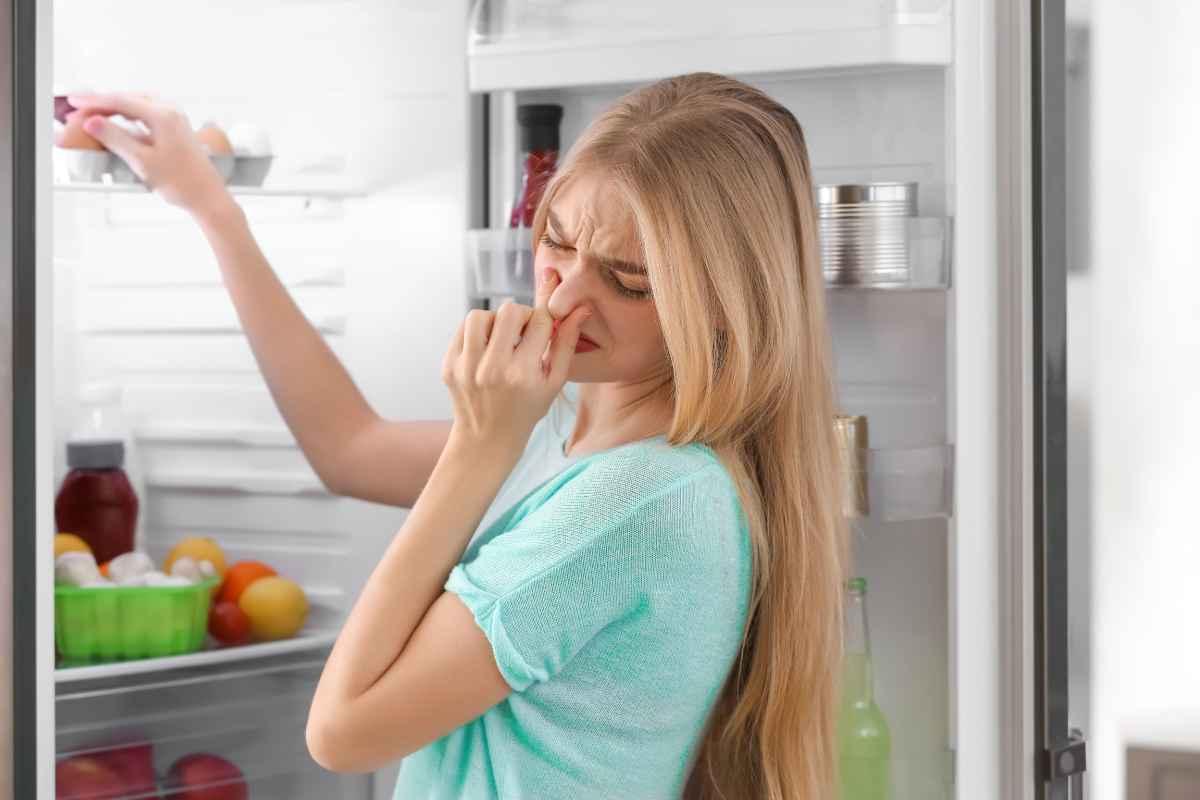 Frigo pulito e profumato? Il trucco geniale