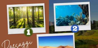 test personalità quale ambiente preferisci