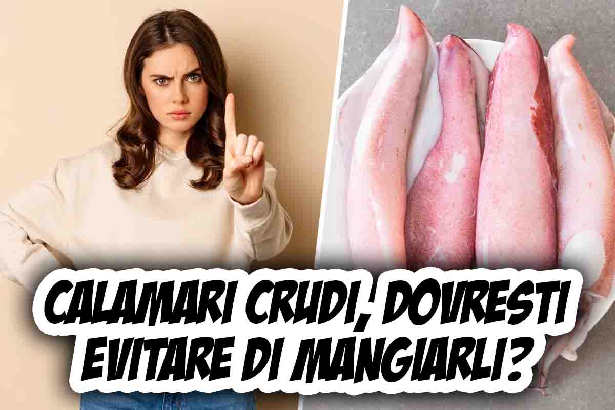 Calamari crudi, evitare di mangiarli? Cosa c'è da sapere