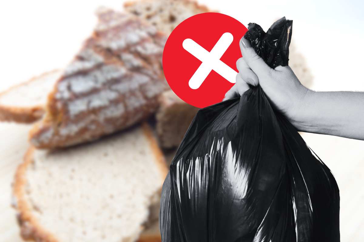 Pane secco non buttarlo le cose che si possono fare