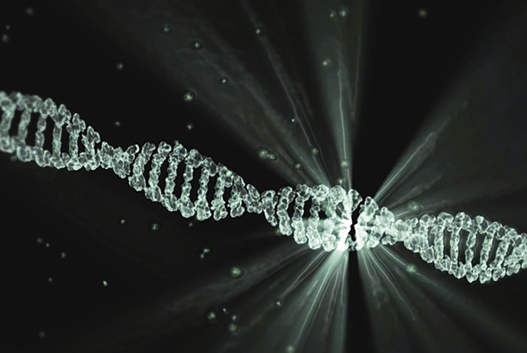 L'Università di Trento effettua un'importante scoperta sul DNA danneggiato da radiazioni ionizzanti: scopriamo tutti i dettagli