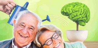 Ecco la sostanza che migliora la memoria negli anziani