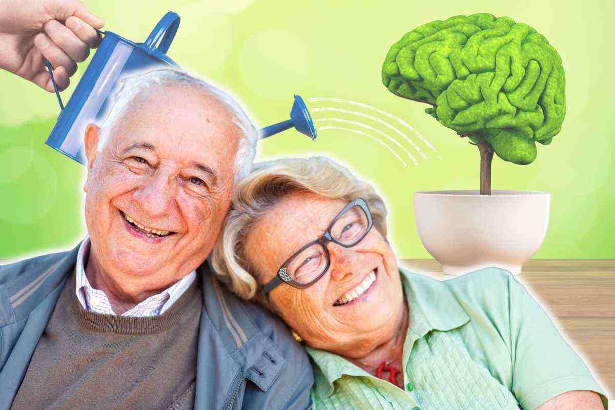 Ecco la sostanza che migliora la memoria negli anziani