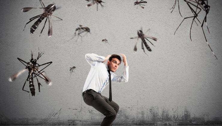 Zanzare, il metodo per assordarle