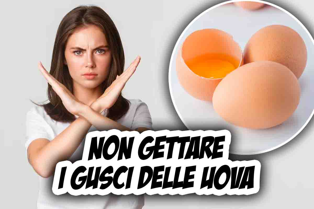 non gettare gusci uova: l'utilizzo alternativo