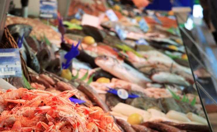 Il pesce economico