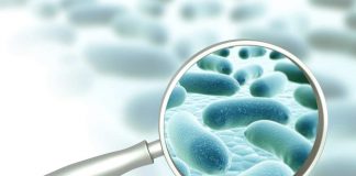 Questo oggetto è ricco di batteri: ecco come pulirlo