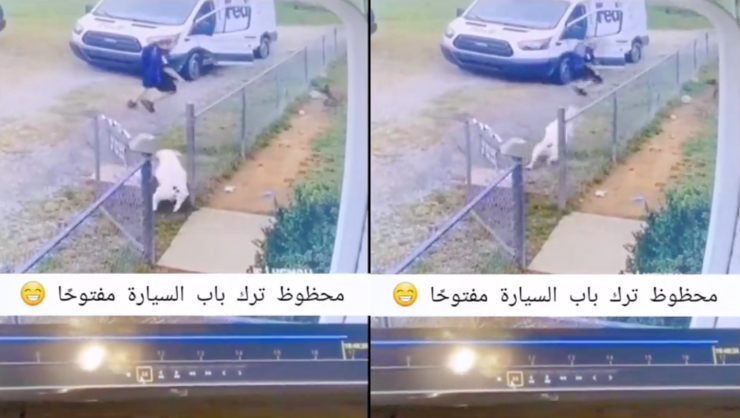 Corriere molla il pacco e fugge dal cane