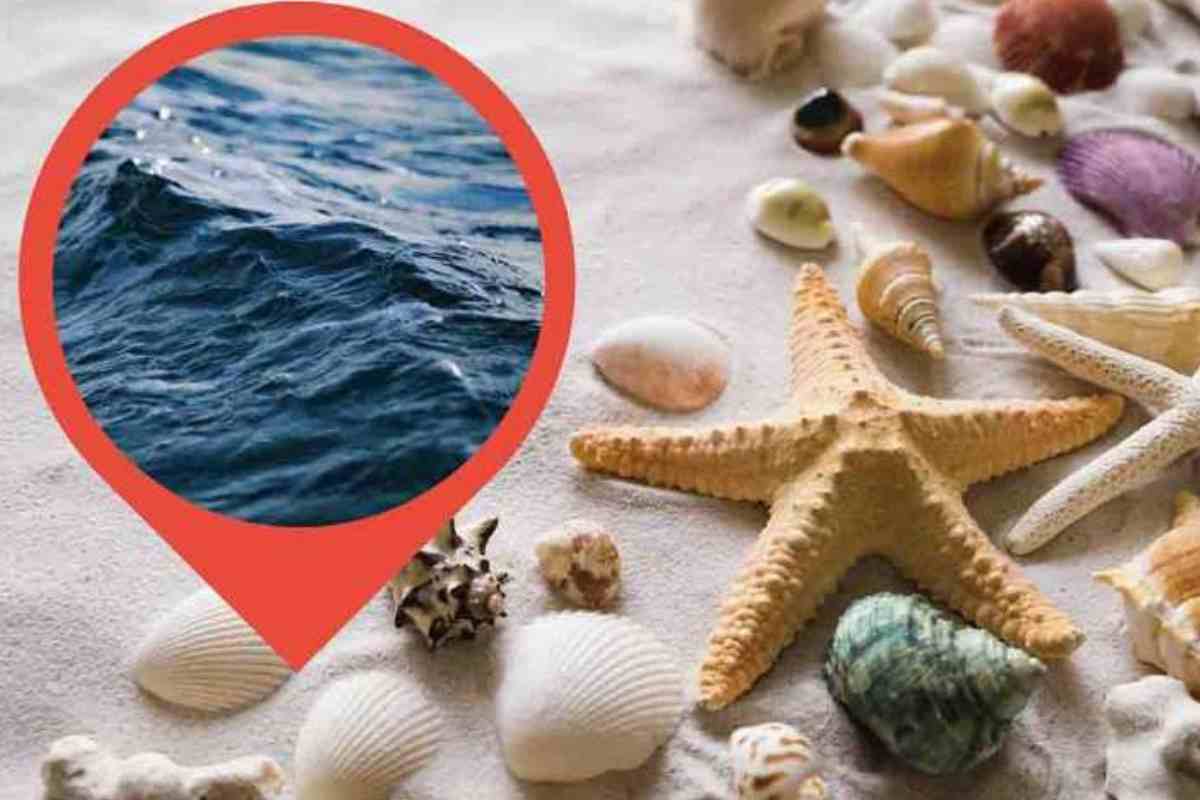 perché si sente il mare dalle conchiglie
