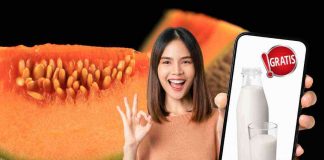 Fate così e procurerete del latte dal melone