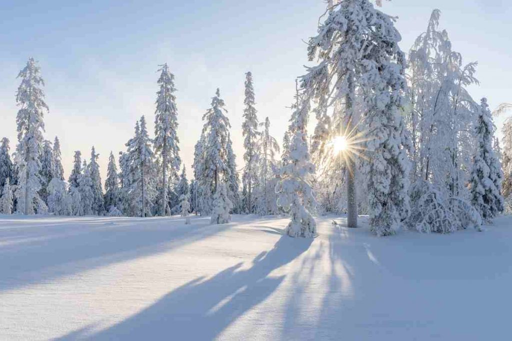 Bando per soggiorno invernali gratuiti: i requisiti