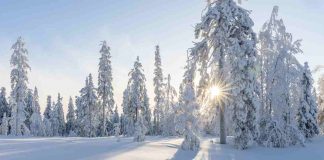 Bando per soggiorno invernali gratuiti: i requisiti