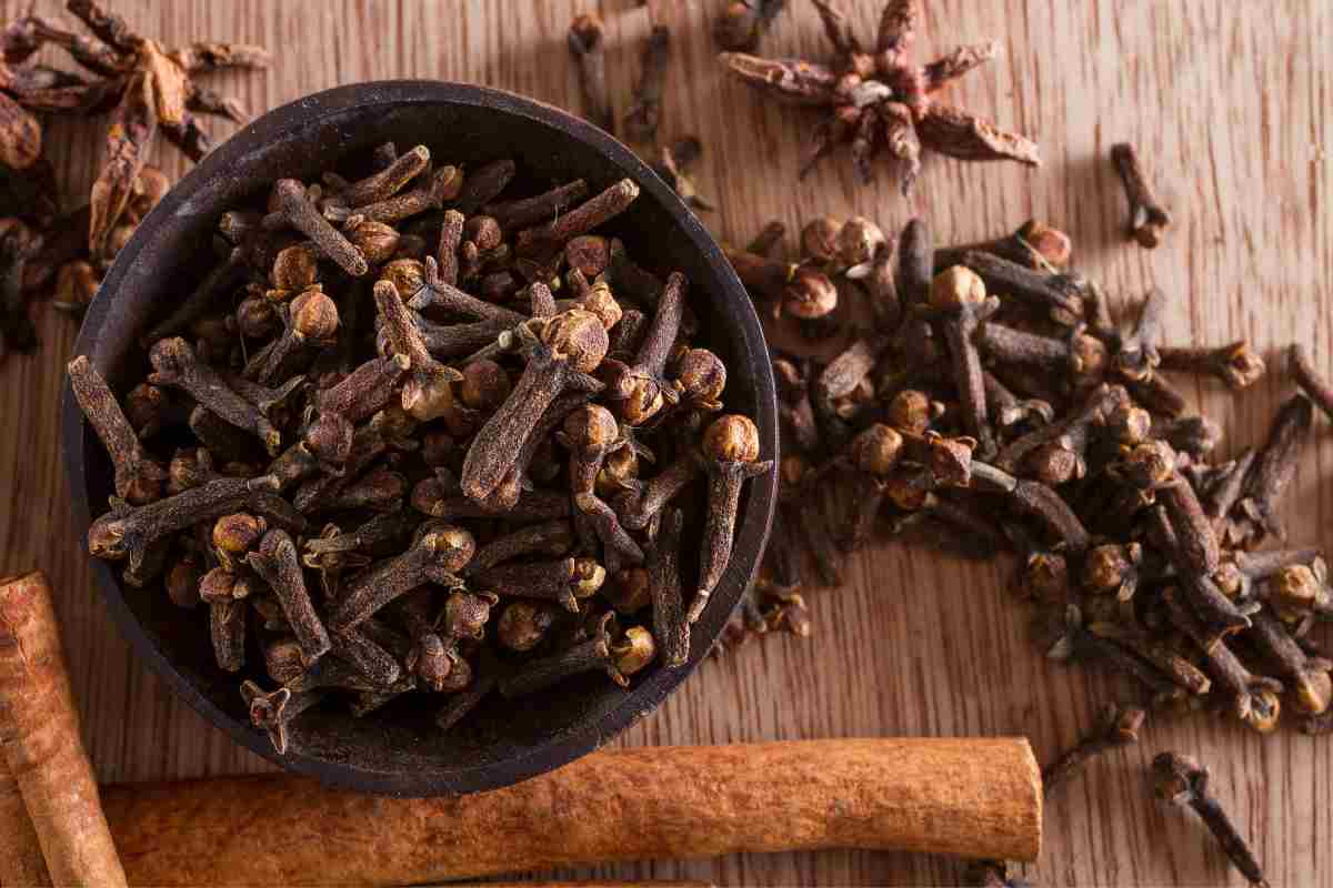 chiodi di garofano utili sia in cucina che per le pulizie