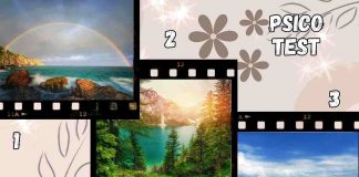 Psico test