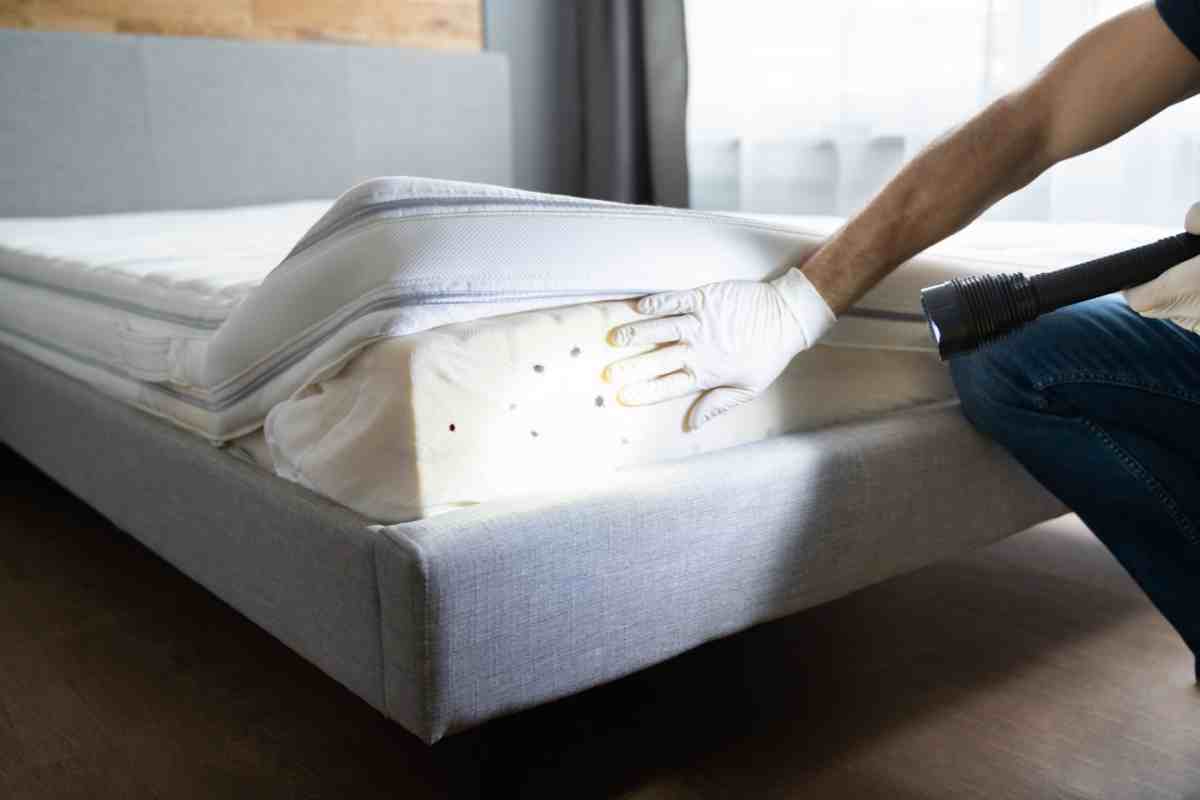 Come prevenire le cimici da letto