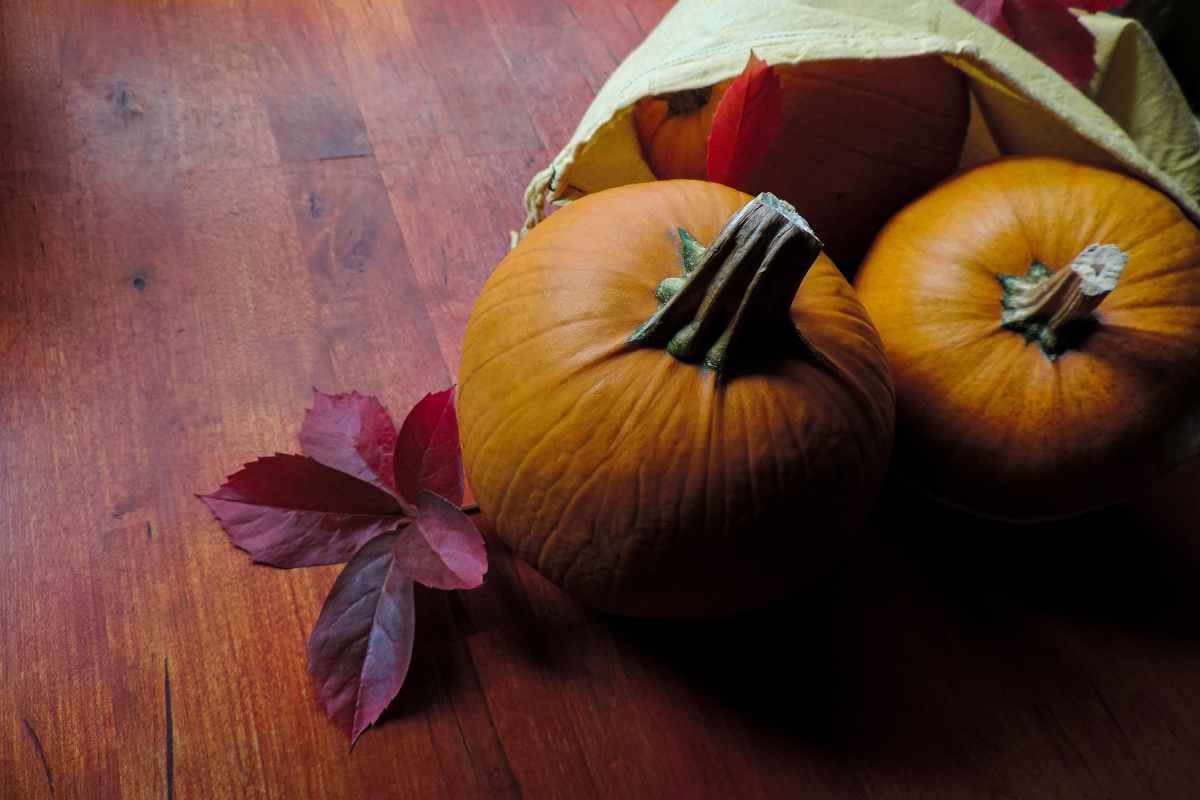 Halloween deriva dal Capodanno celtico Samhain
