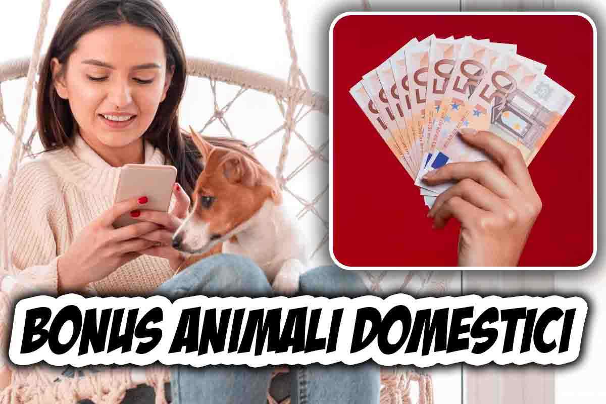 Come richiedere il bonus animali domestici