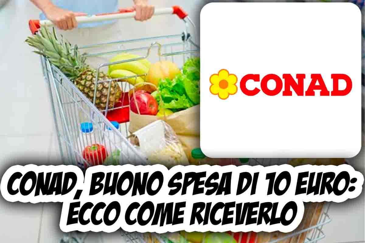 conad buono spesa