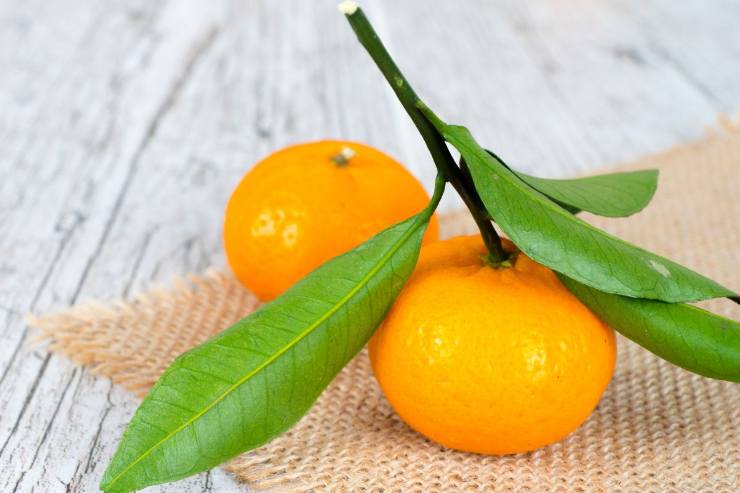 effetti dei mandarini sul corpo