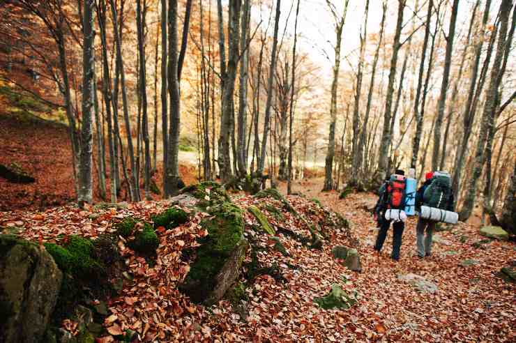 trekking in montagna