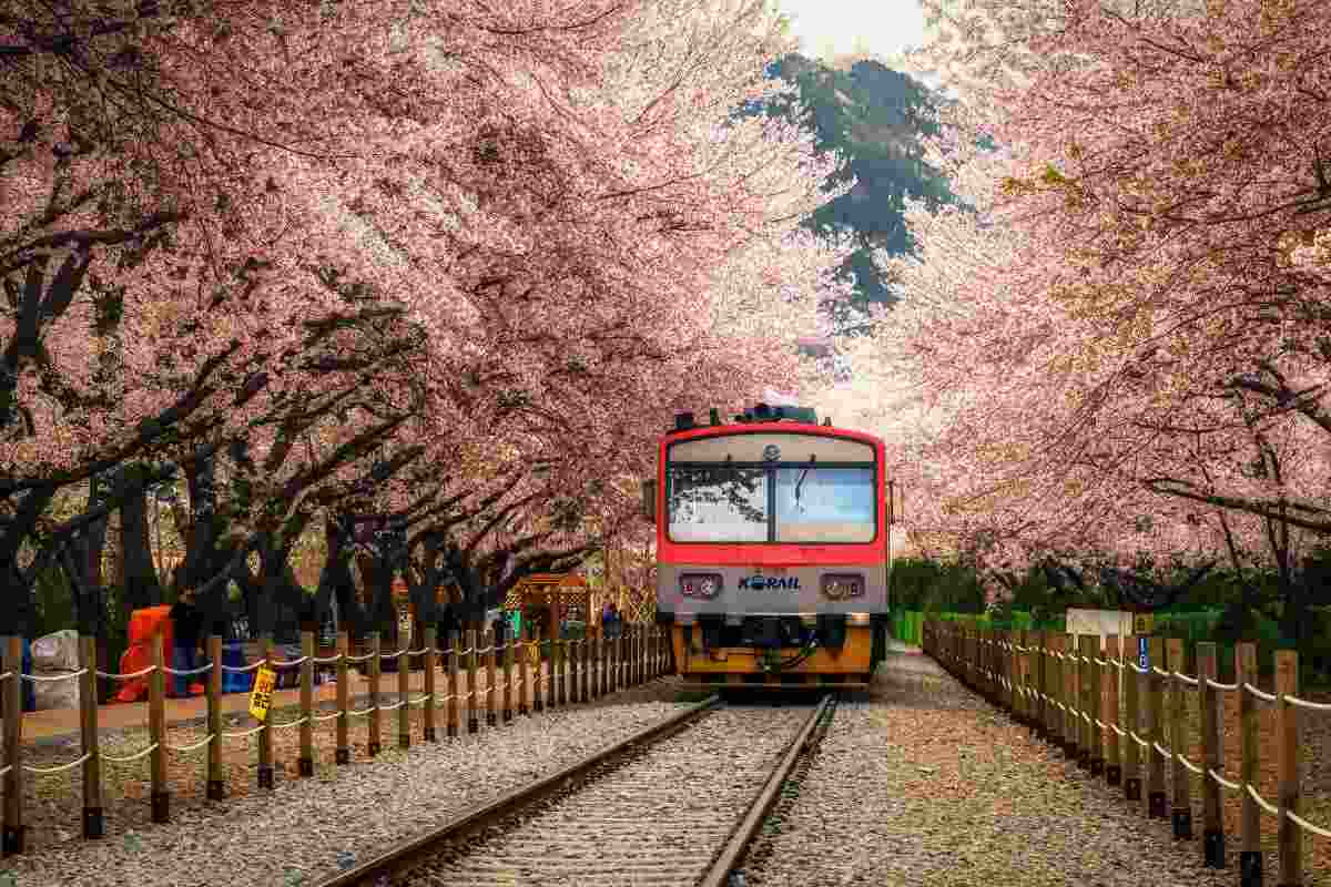 Scopri l'asia con un tour in treno