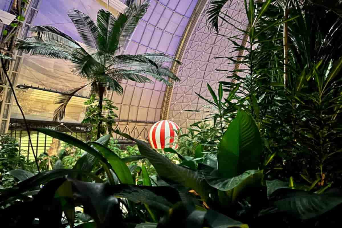 C'è anche una foresta, è la spiaggia indoor più grande del mondo 