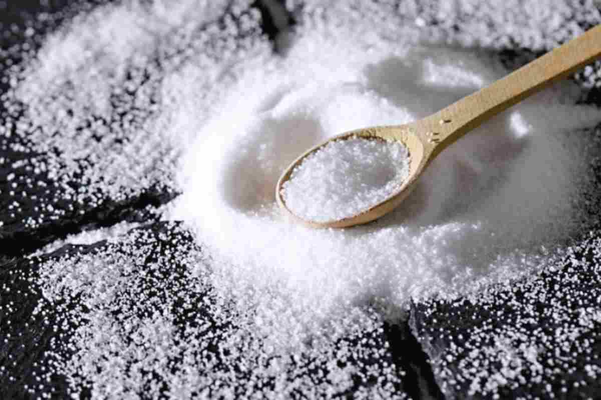 Per applicare questo rimedio basta un contenitore comune, come una ciotola o un barattolo, riempito con qualche cucchiaio di sale grosso.